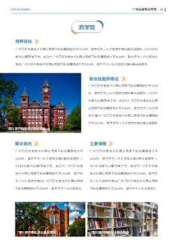 高等大学院校单独招生报考指南模板 - 第17页
