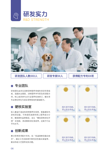 宠物零食宠物食品产品画册模板 - 第6页