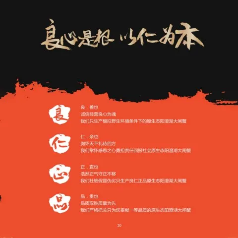 第21页缩略图