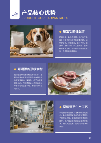 宠物零食宠物食品产品画册模板 - 第7页
