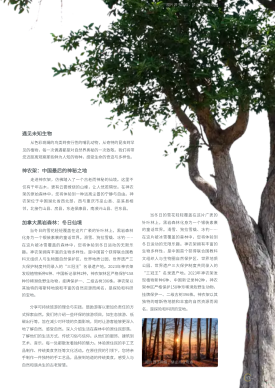 文旅风景名胜区旅游杂志制作 - 第17页