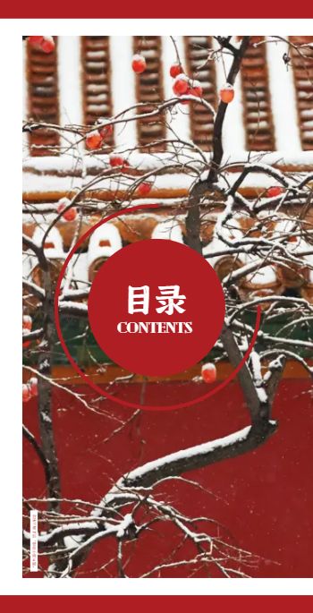 爱国党建宣传画册模板 - 第2页