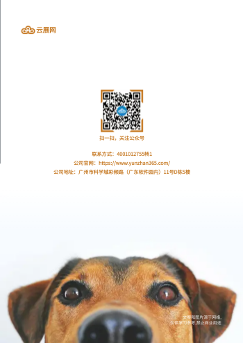 猫犬玩具宠物用品产品画册模板 - 封底预览