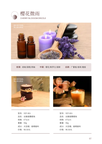氛围感香薰蜡烛产品价目手册模板 - 第7页