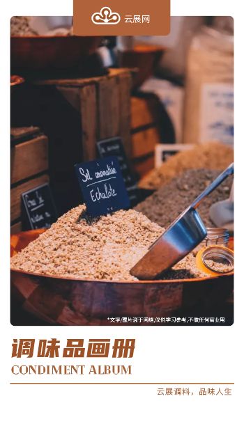 清新时尚调味品宣传手册