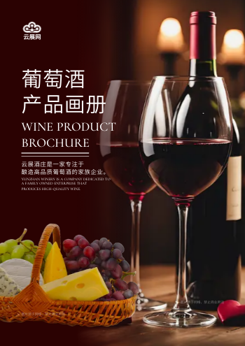 特级葡萄酒原装酒产品画册