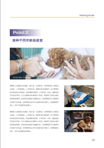 新手养宠猫狗饲养指南手册设计 - 第7页