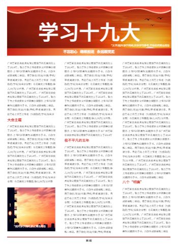 学习十九大会议党建宣传特刊