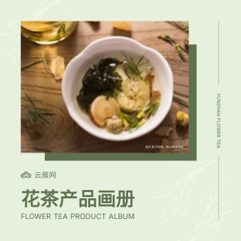 伴手礼花茶礼盒方版产品手册模板 - 封面预览