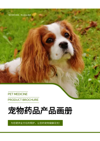 宠物应急药宠物专用药产品画册