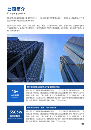 五金钢材建材公司宣传册模板 - 第3页