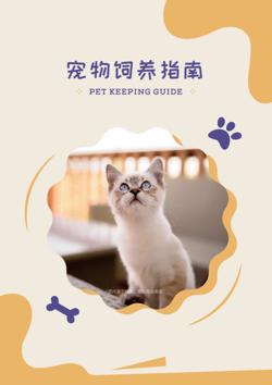 新手养宠猫狗饲养指南手册