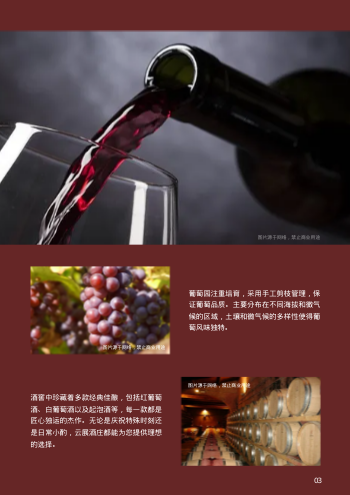 特级葡萄酒原装酒产品画册制作 - 第3页