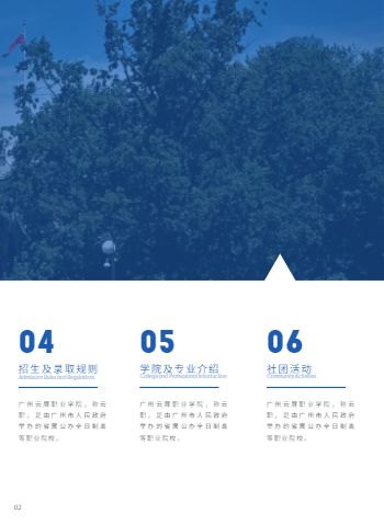 高等专科职业学院单招报考手册模板 - 第3页
