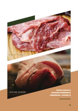 冷鲜肉加工肉业企业宣传册制作 - 第9页