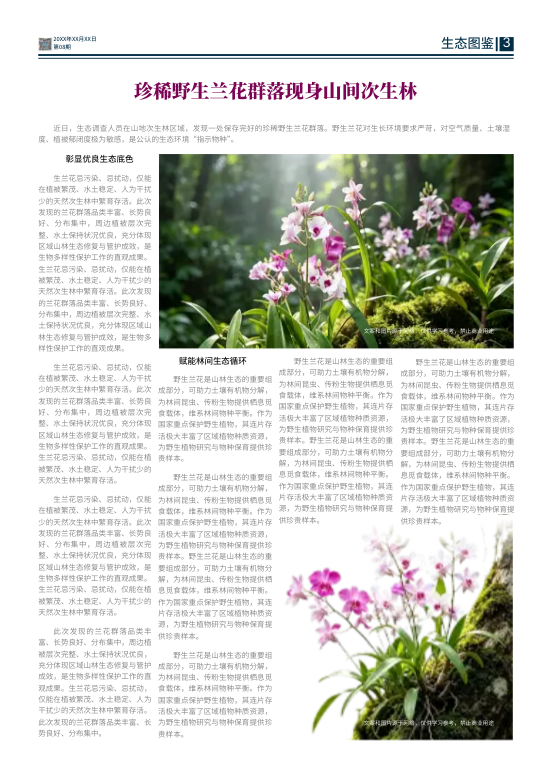 城市生态环境治理宣传工作报模板 - 第7页