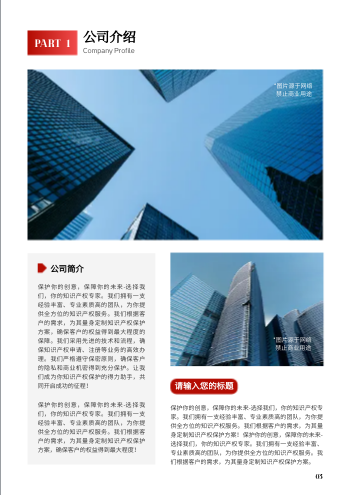 知识产权商标注册企业宣传册设计 - 第3页