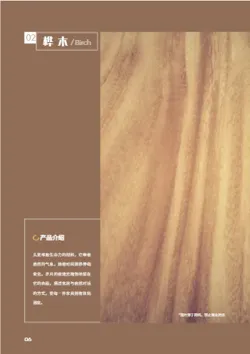 装饰木板装修木材产品画册模板 - 第6页