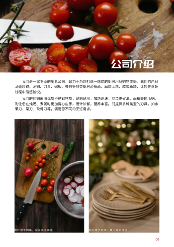 不锈钢厨具餐具产品画册制作 - 第3页