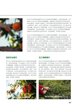 生态农业果园种植项目招商画册制作 - 第9页