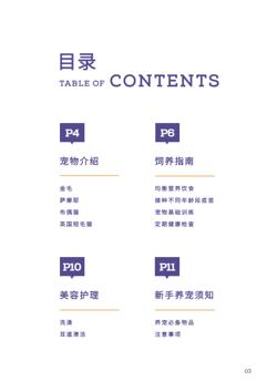 新手养宠猫狗饲养指南手册设计 - 第3页