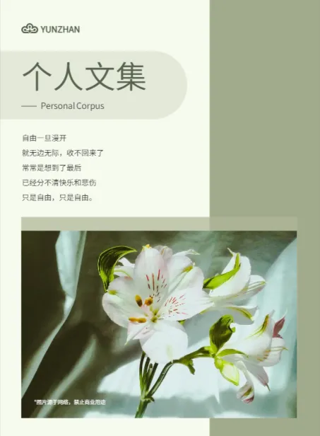 小清新个人青春诗文集画册模板
