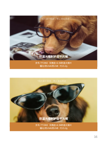 时尚潮流眼镜太阳镜电子画册制作 - 第17页