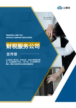 财税服务税务代理企业宣传册