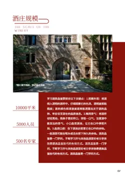 红色酒业白酒洋酒企业宣传册模板 - 第7页