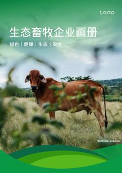 绿色生态畜牧养殖企业宣传册