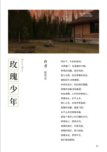 简约现代散文青春诗文集模板 - 第11页
