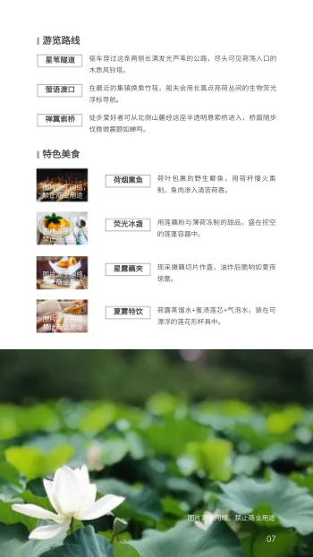 乡村古镇村野旅游指南制作 - 第7页