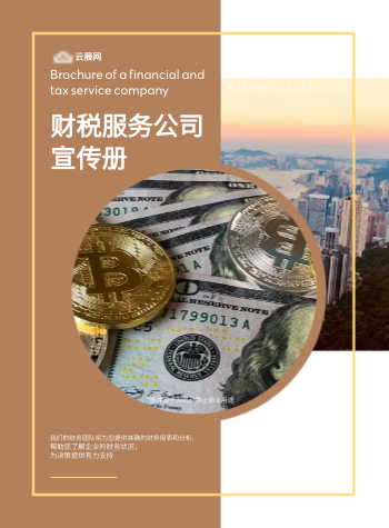 财务咨询财税企业画册