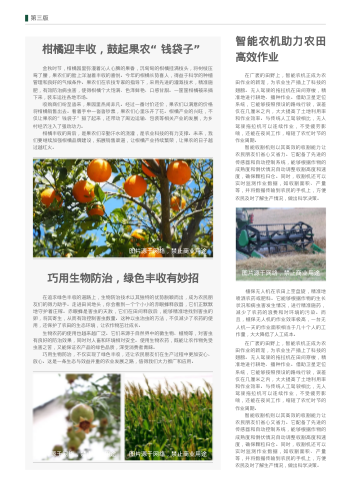 农村信息报农资数字报设计 - 第4页