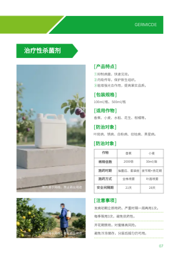 农业除虫剂农药产品画册模板 - 第7页