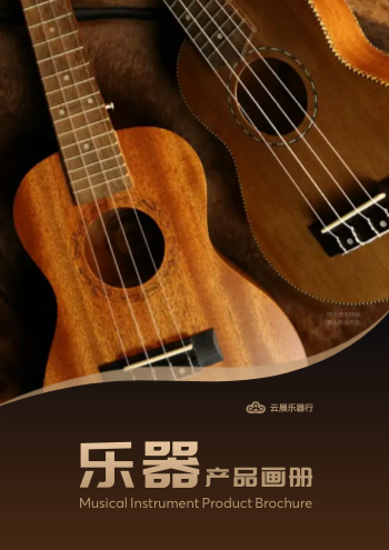弹拨乐器初学者电吉他产品画册制作 - 封面预览