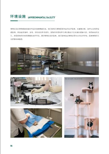 宠物医疗动物医院宣传画册制作 - 第6页