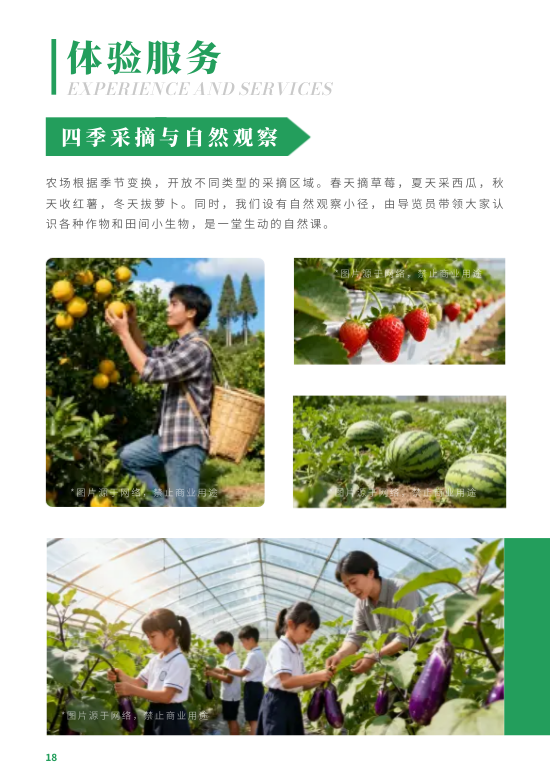 生态养殖牧业有机农场宣传册制作 - 第18页
