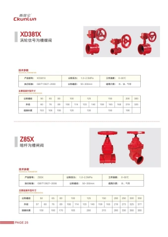 第30页缩略图