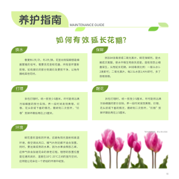 清新鲜花坊花店方版画册模板 - 第11页