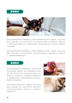 宠物医疗动物医院宣传画册制作 - 第8页