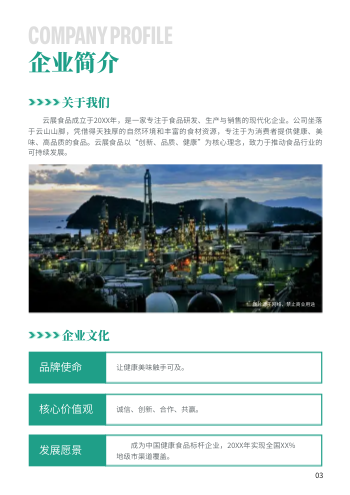 健康食品加工企业招商手册模板 - 第3页