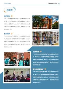 高等大学院校单独招生报考指南模板 - 第13页