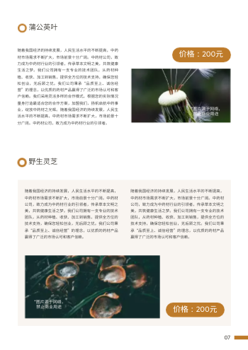 中医药馆中药材招商宣传册模板 - 第7页