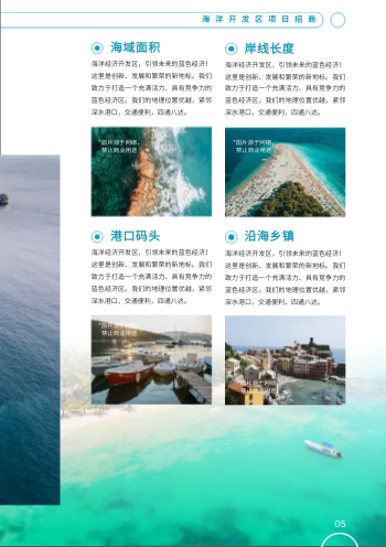 海洋经济开发区项目招商画册制作 - 第5页