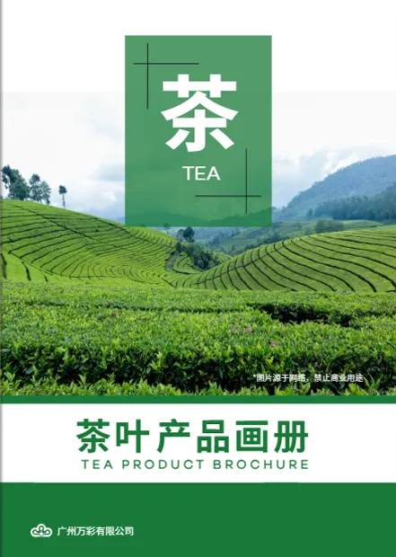 茶叶产品宣传册设计模板
