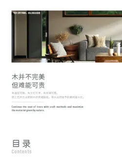 高端木饰面板材色卡展示册模板 - 第2页