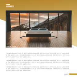 连锁度假酒店招商加盟宣传册设计 - 第3页