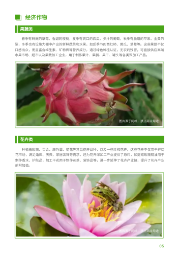 乡村振兴农村小镇招商画册模板 - 第5页