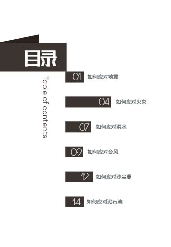 防灾减灾科普知识宣传手册设计 - 第3页
